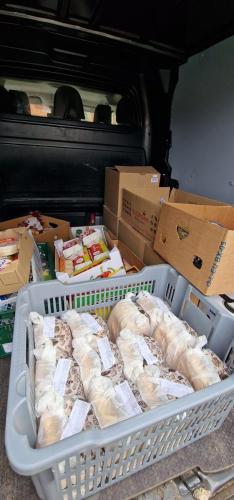 340946204 953882142280220 6187964169610847845 n